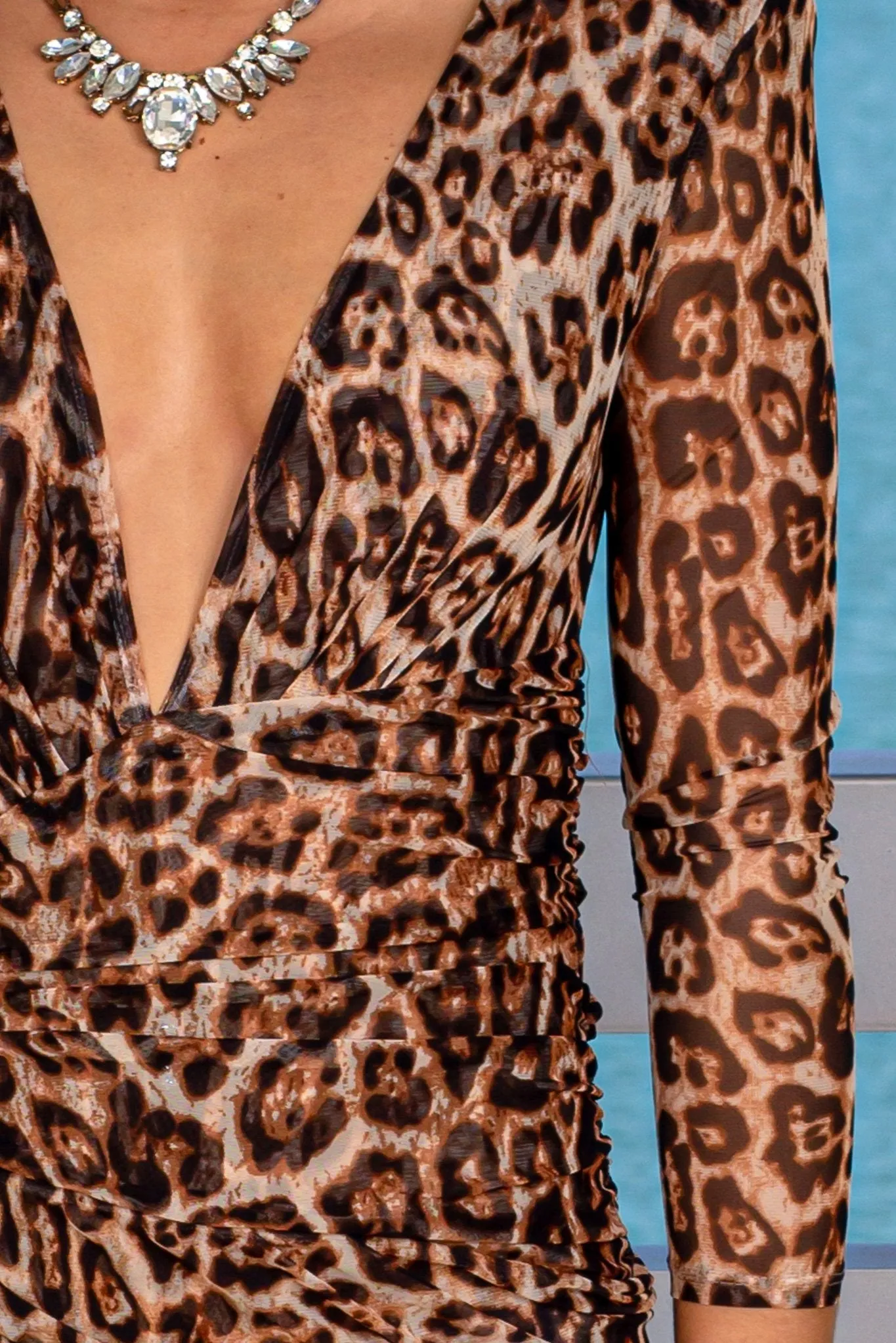 Cheetah Mesh Short Dress